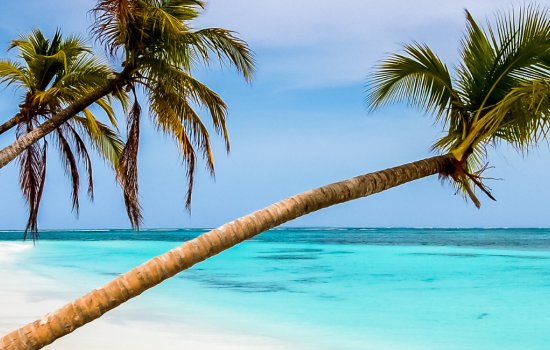 Barbados Luxury Honeymoons